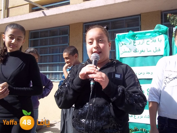 treesnewzahra2 (22).jpg